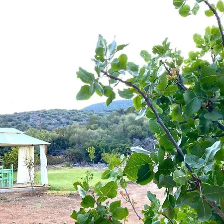 Eudaimonia Wooden Nafplio