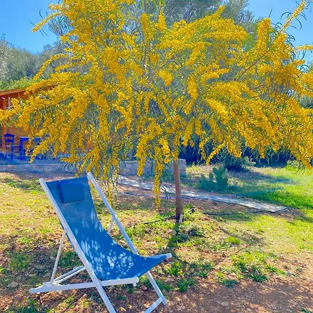 Eudaimonia Wooden Nafplio Holiday home