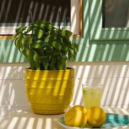 Eudaimonia Wooden Nafplio Holiday home Kandia