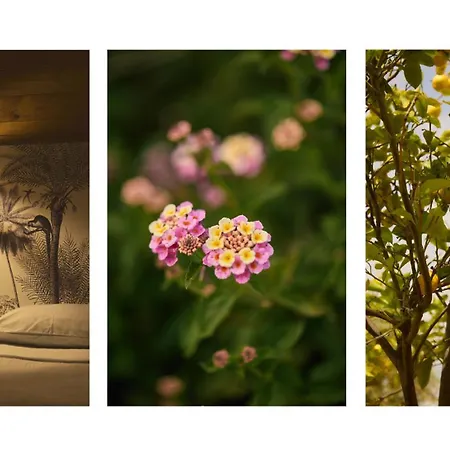 Κατάλυμα σε φάρμα Eudaimonia Wooden Nafplio