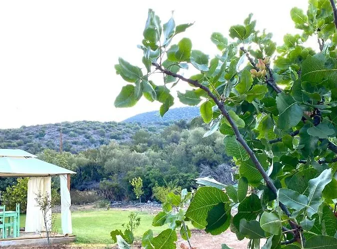 Eudaimonia Wooden Nafplio