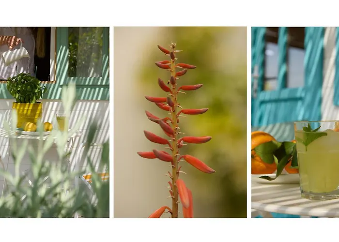 Eudaimonia Wooden Nafplio كانديا