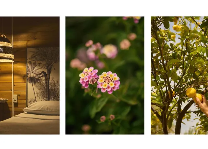 مزرعة للإقامة Eudaimonia Wooden Nafplio